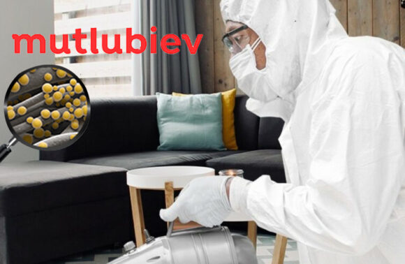 1+1 Ev Nano Dezenfeksiyon Hizmeti 1+1 Ev Nano Dezenfeksiyon Hizmeti
