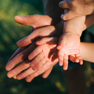 Eğitim Kutusu Uygulamalı Aile Dizimi Eğitimi